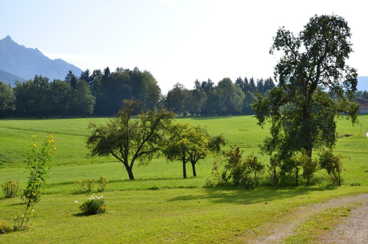 Naturresort Fischergut - Lodge Wolfgangthal Saint Wolfgang Eksteriør bilde