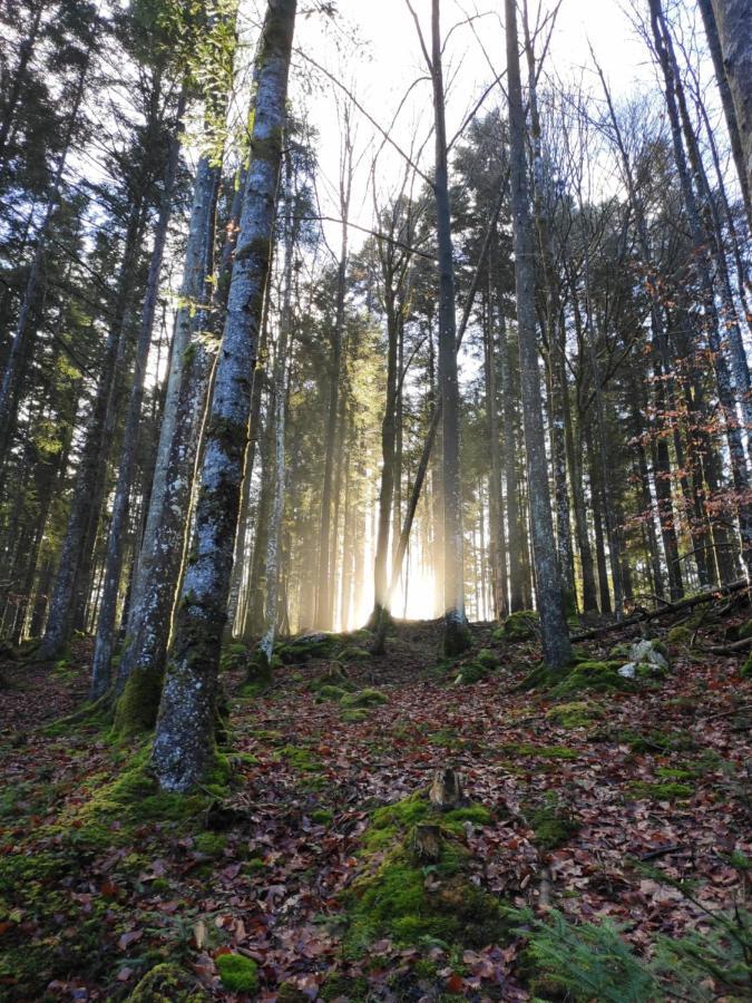 Naturresort Fischergut - Lodge Wolfgangthal Saint Wolfgang Eksteriør bilde